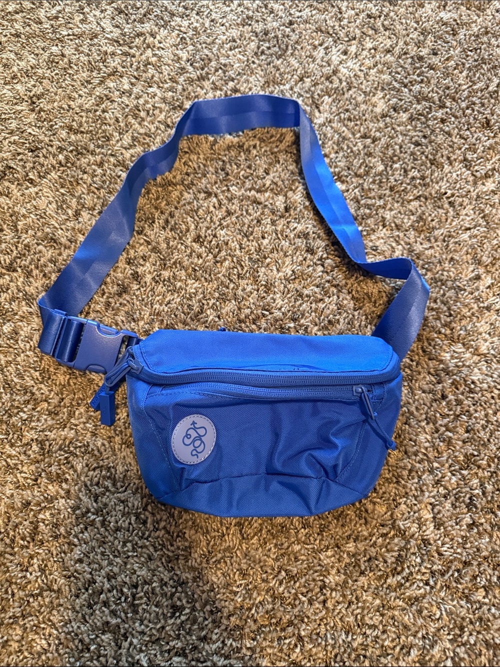Baboon to the Moon Fanny pack